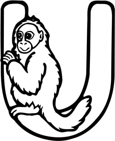 Letter U Is For Uakari Monkey Coloring Page